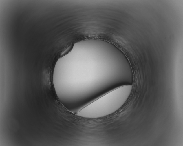X0000089891060200706281106