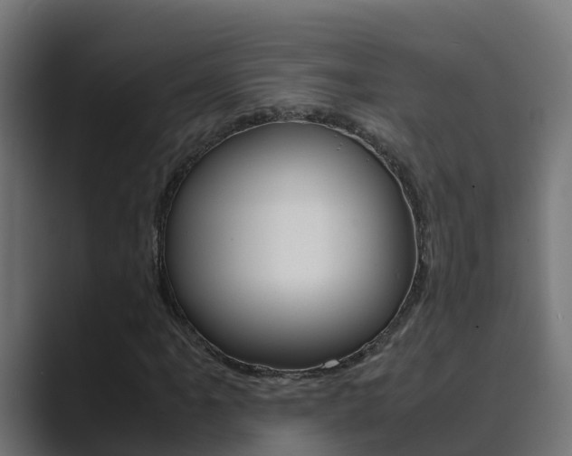 X0000089891061200706281106