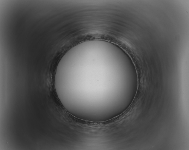 X0000089891062200706281106