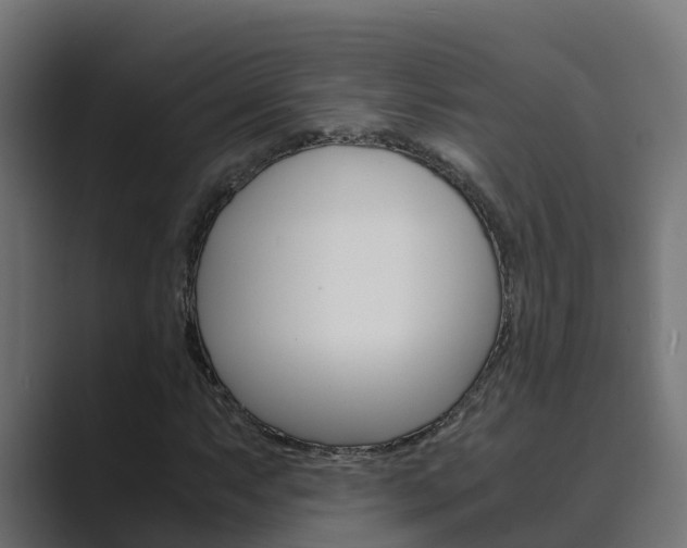 X0000089891063200706281106