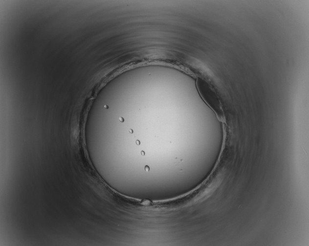 X0000089891065200706281106