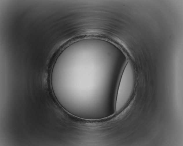 X0000089891066200706281106