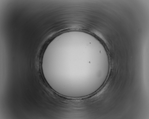 X0000089891067200706281106