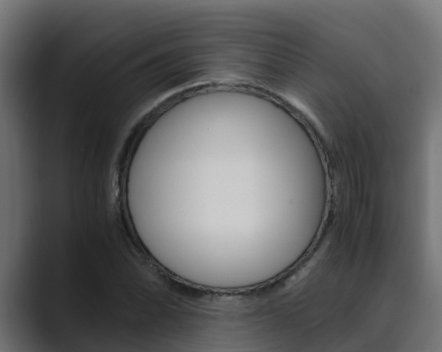 X0000089891070200706281106