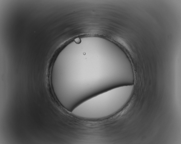 X0000089891071200706281106