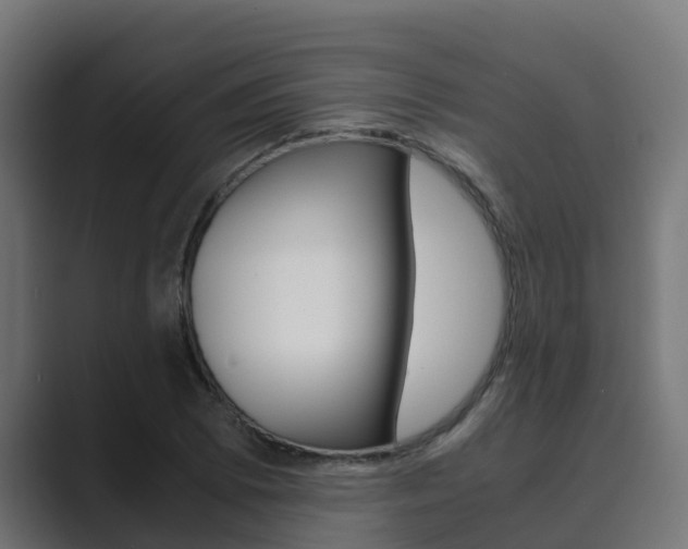 X0000089891073200706281106