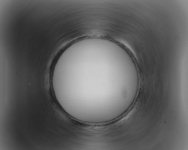 X0000089891075200706281106