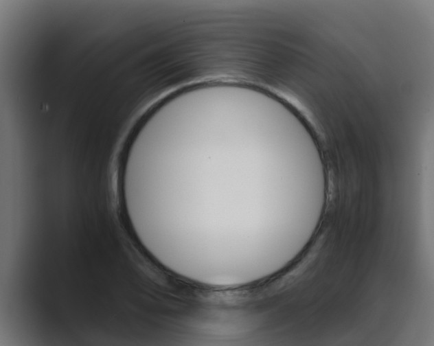 X0000089891078200706281106