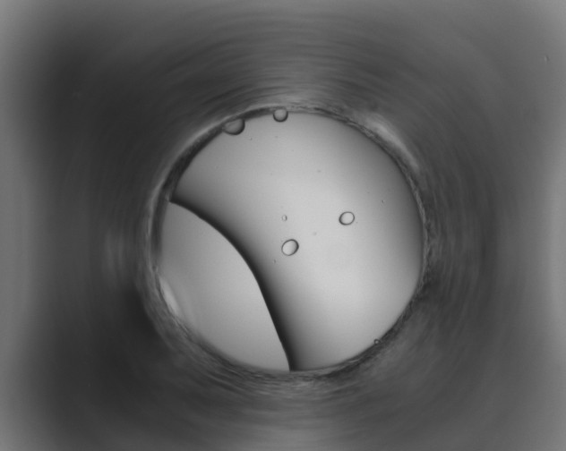 X0000089891079200706281106