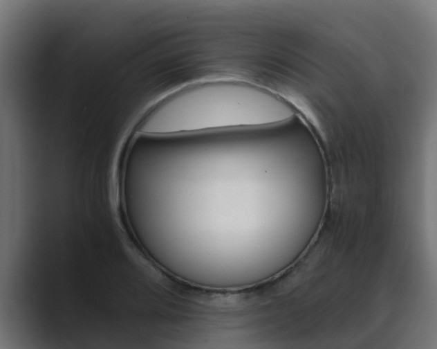 X0000089891080200706281106