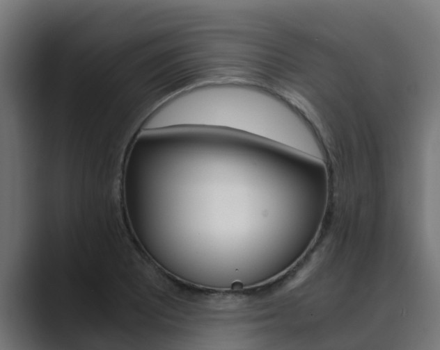 X0000089891081200706281106