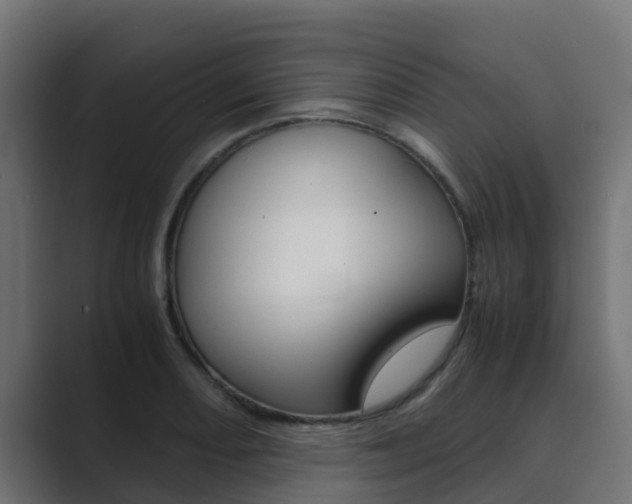 X0000089891082200706281106
