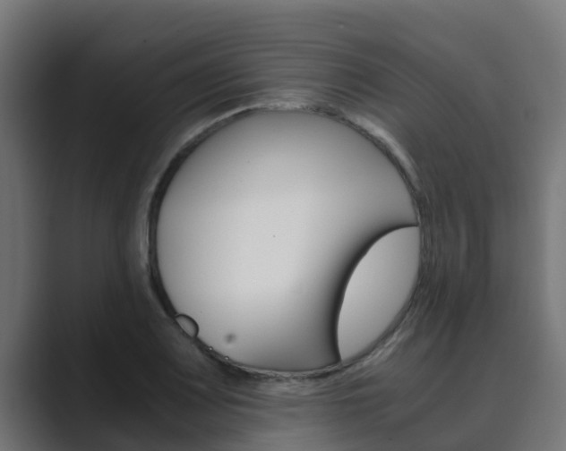 X0000089891083200706281106
