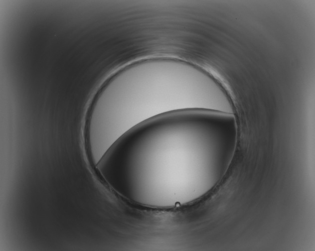 X0000089891085200706281106