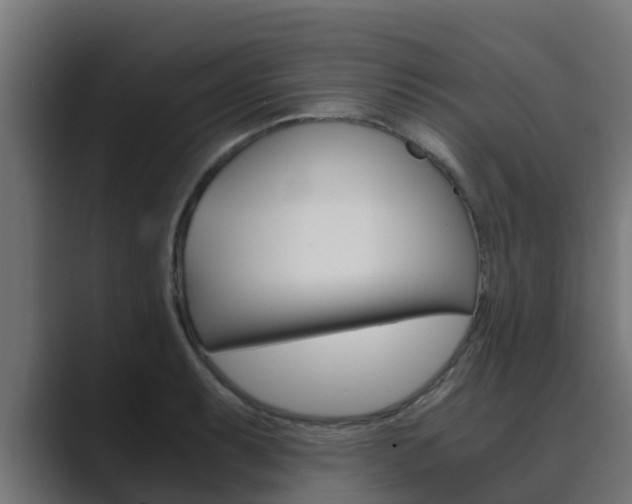 X0000089891087200706281106