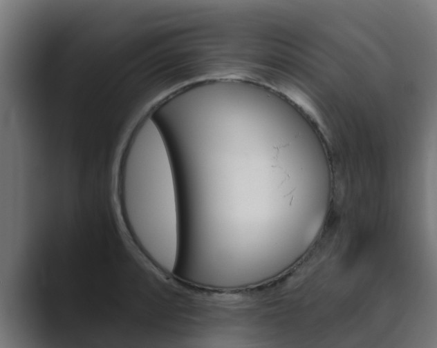 X0000089891088200706281106