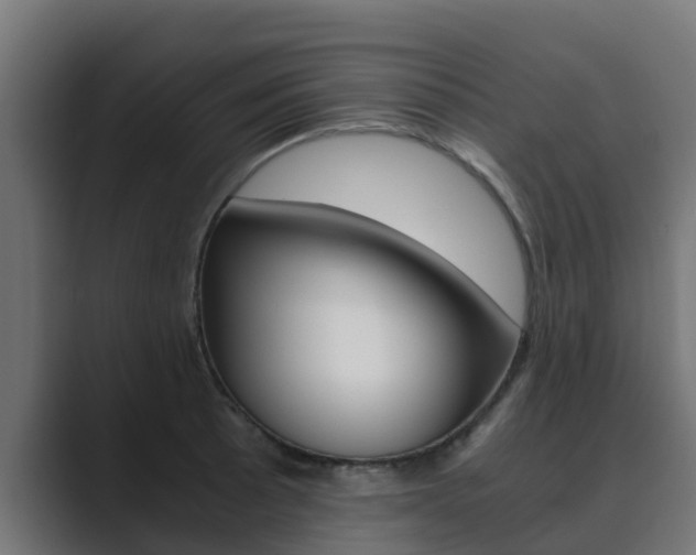 X0000089891089200706281106