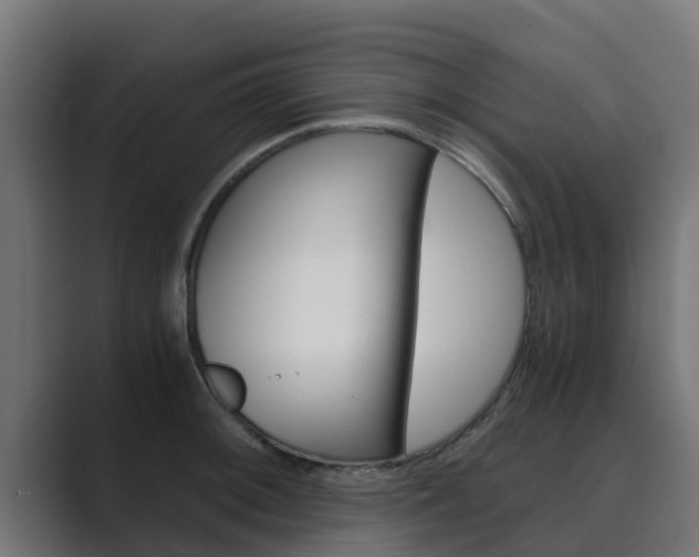X0000089891092200706281105