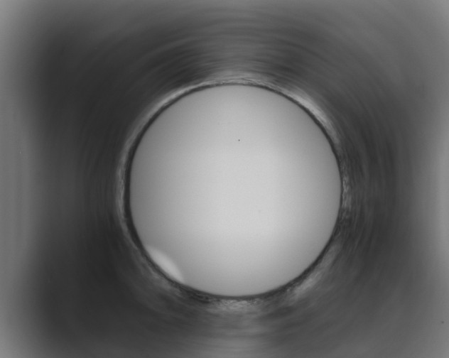 X0000089891094200706281105