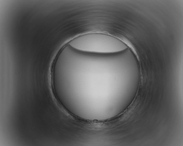 X0000089891096200706281105