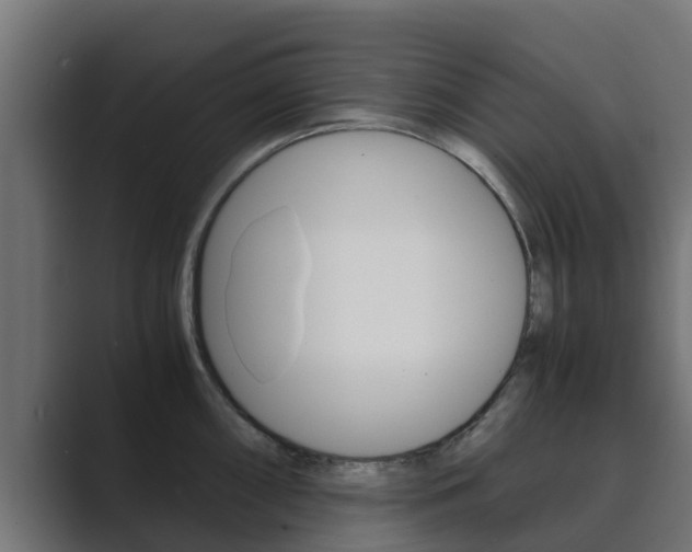 X0000089891098200706281105