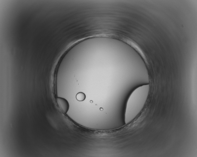 X0000089891099200706281105