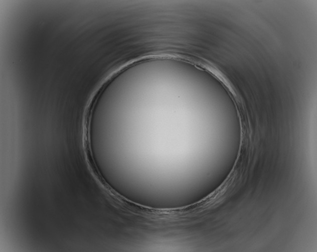 X0000089891101200706281105