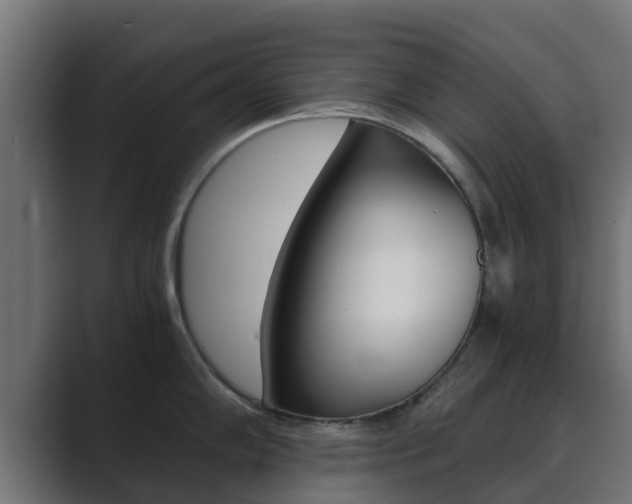 X0000089891102200706281105