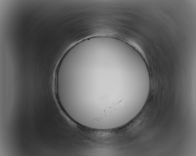X0000089891103200706281105