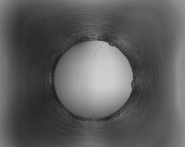 X0000089891106200706281105