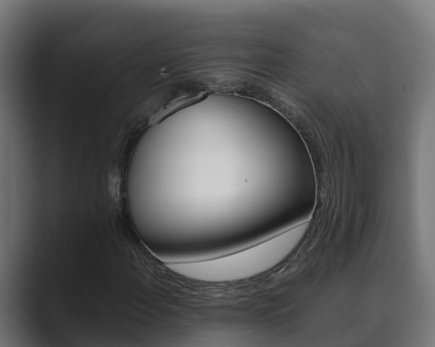 X0000089891108200706281105