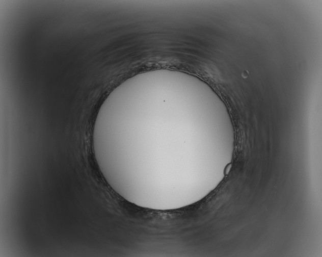 X0000089891109200706281105
