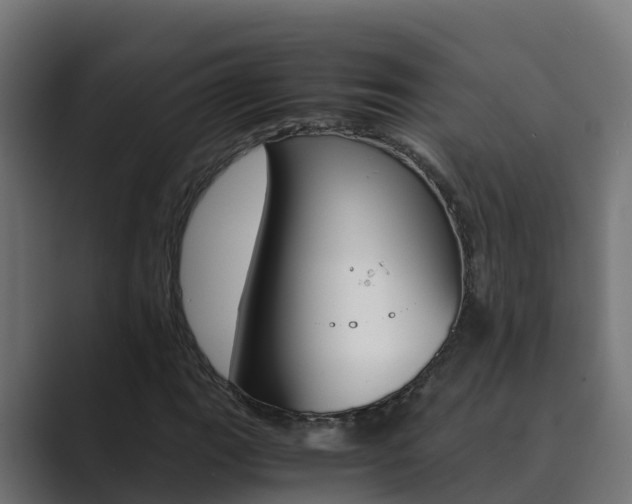 X0000089891111200706281105