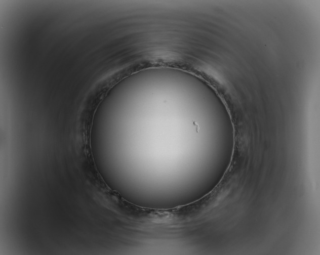 X0000089891112200706281105