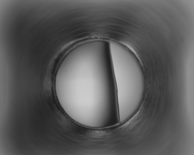 X0000089891115200706281105