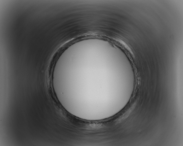 X0000089891117200706281105