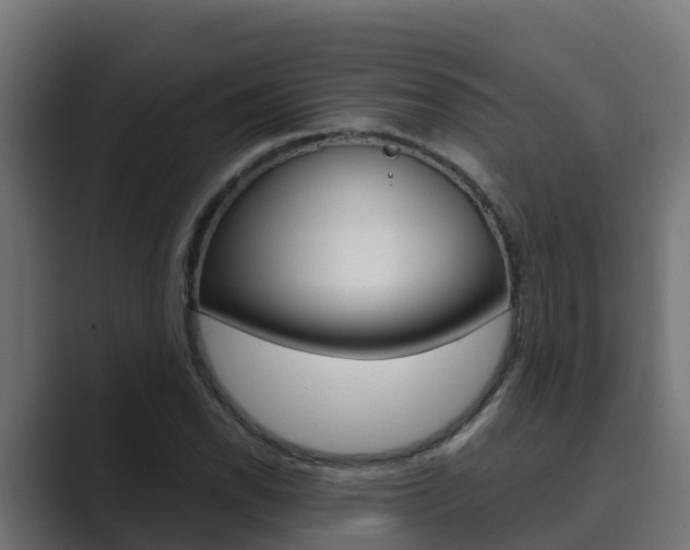 X0000089891118200706281105