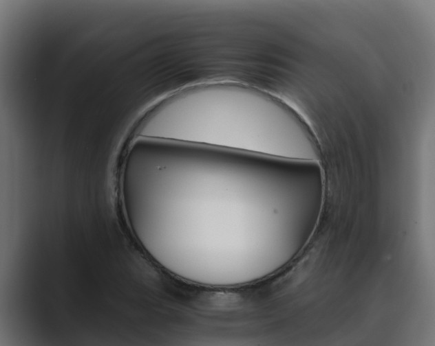 X0000089891119200706281105