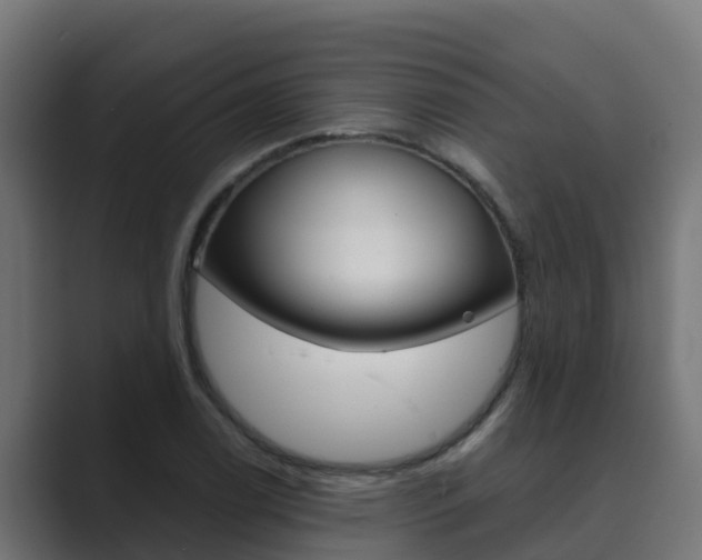 X0000089891122200706281105