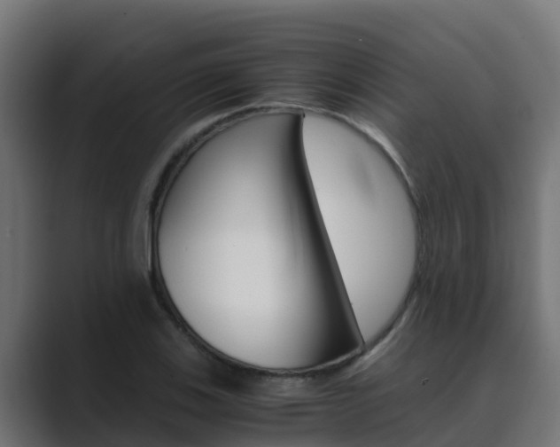 X0000089891123200706281105