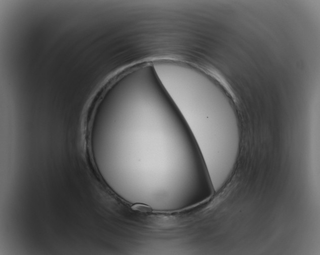 X0000089891124200706281105