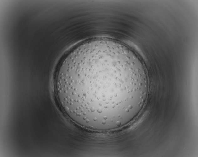X0000089891125200706281105