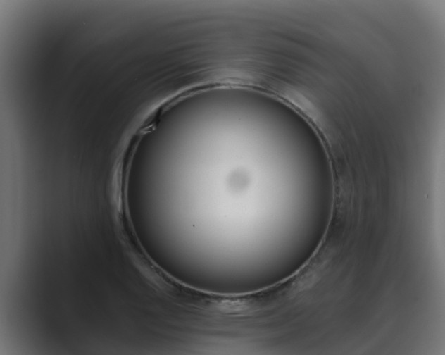 X0000089891128200706281105