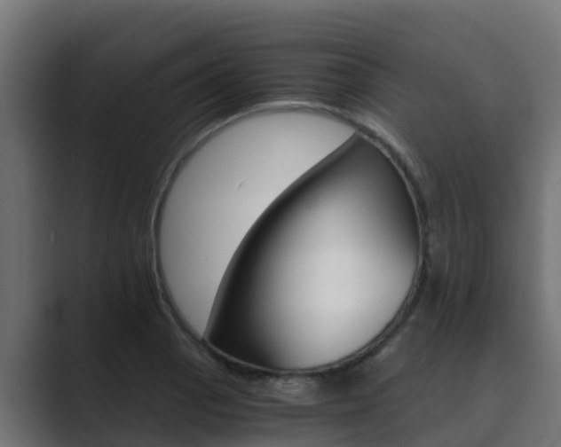X0000089891129200706281105