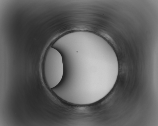 X0000089891130200706281105