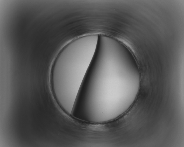 X0000089891135200706281105