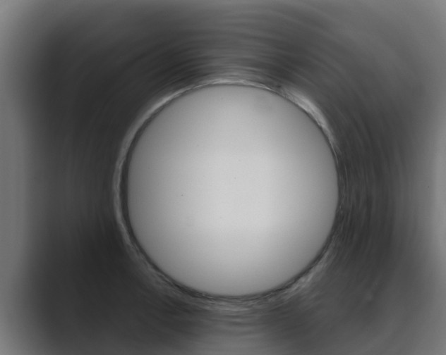 X0000089891138200706281105