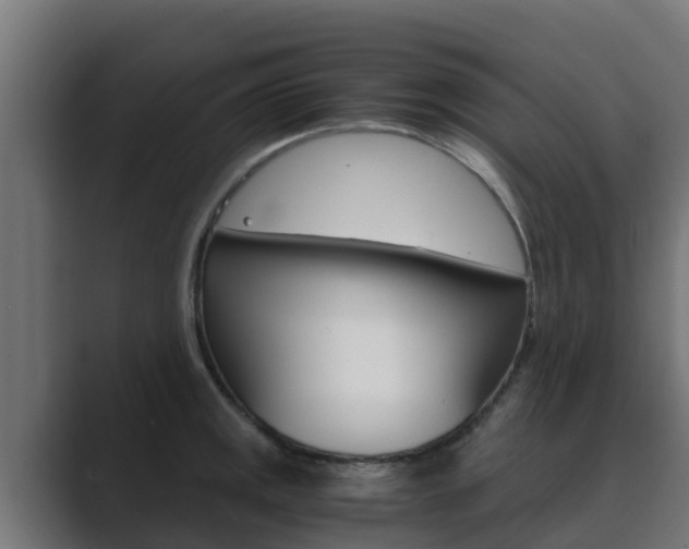 X0000089891141200706281105