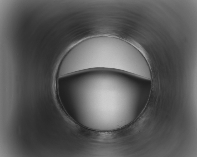 X0000089891144200706281105