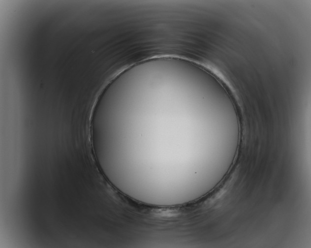 X0000089891145200706281105
